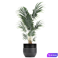 Collection of small plants in black pots with Strelitzia, banana, coconut palm, hovea. Set 726. 3D Model Vray
