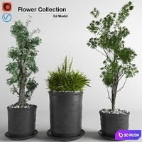 flower collection 3p 3D Model Vray, Corona