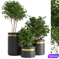 indoor plant 05 3D Model Vray, Corona