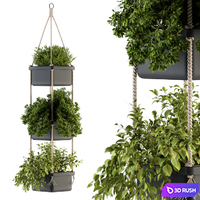 Hanging pot with Rope - indoor Plants 164 3D Model Vray, Corona