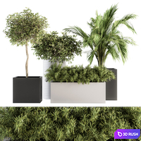Indoor Plant Set 188 - Plant Boxes 3D Model Vray, Corona