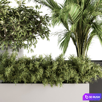 Indoor Plant Set 188 - Plant Boxes 3D Model Vray, Corona