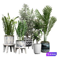 Flower Pack 175 3D Model Vray