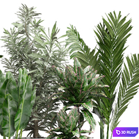 Flower Pack 175 3D Model Vray