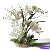 White orchids in a glass vase with stones 3D Model Vray, Corona
