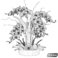 White orchids in a glass vase with stones 3D Model Vray, Corona