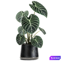 A collection of beautiful small exotic flowers in black metal pots Anthurium crystal. Set 885 3D Model Vray