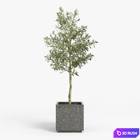 Playa rectangle gray planter 3D Model Corona