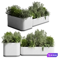 Stand plant box - collection Indoor plant 212 concrete vase pot fern grass 3D Model Vray, Corona