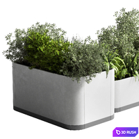 Stand plant box - collection Indoor plant 212 concrete vase pot fern grass 3D Model Vray, Corona