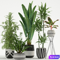 Plants collection 726 3D Model Vray, Corona