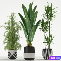 Plants collection 726 3D Model Vray, Corona