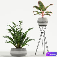 Plants collection 726 3D Model Vray, Corona