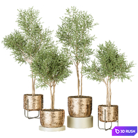 Plant 122 3D Model Vray, Corona