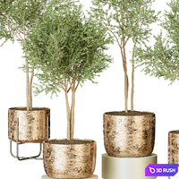 Plant 122 3D Model Vray, Corona