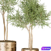 Plant 122 3D Model Vray, Corona