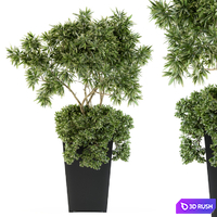 Indoor Plant Set 96 - olive 3D Model Vray, Corona