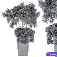 Indoor Plant Set 96 - olive 3D Model Vray, Corona