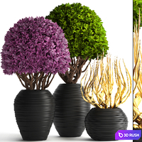 Collection of plants 129. Boxwood, topiary, topiary, decorative vases, decor, golden branches 3D Model Vray
