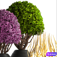 Collection of plants 129. Boxwood, topiary, topiary, decorative vases, decor, golden branches 3D Model Vray