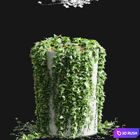 Ivy in round tubs. 5 models 3D Model Vray, Corona