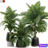Plants collection 905 3D Model Vray, Corona