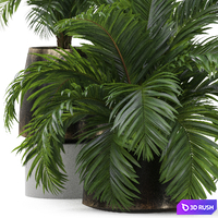 Plants collection 905 3D Model Vray, Corona