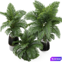 Plants collection 905 3D Model Vray, Corona