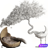 Houseplants-indoor-Bonsai-039 3D Model Vray, Corona