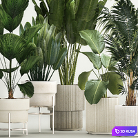 Interior potted plants Likuala, palm tree, Howea forsteriana, strelitzia, calathea, garden, bush. Plant collection 1199 3D Model Vray