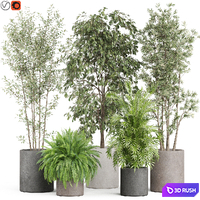 Plants collection 922 3D Model Vray, Corona