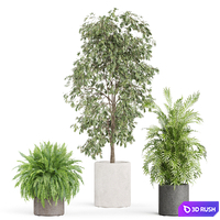 Plants collection 922 3D Model Vray, Corona