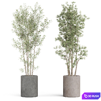 Plants collection 922 3D Model Vray, Corona