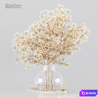 Bouquet Indoor Plant 12 3D Model Vray, Corona