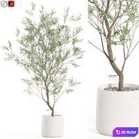 Plants collection 985 3D Model Vray, Corona