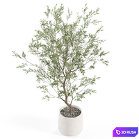 Plants collection 985 3D Model Vray, Corona