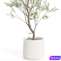 Plants collection 985 3D Model Vray, Corona