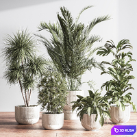 IndoorSetPlant046 3D Model Vray, Corona