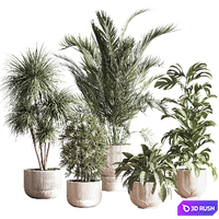IndoorSetPlant046 3D Model Vray, Corona