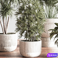 IndoorSetPlant046 3D Model Vray, Corona