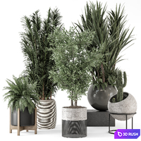 Indoor Plants in Handmade Stone Pot - Set 1857 3D Model Vray, Corona