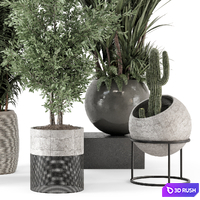 Indoor Plants in Handmade Stone Pot - Set 1857 3D Model Vray, Corona