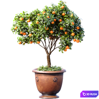 An orange tree in a potted pot. Decorative Citrus Houseplant.Citrus mandarin tree in container on terrace 3D Model Vray, Corona