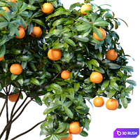 An orange tree in a potted pot. Decorative Citrus Houseplant.Citrus mandarin tree in container on terrace 3D Model Vray, Corona