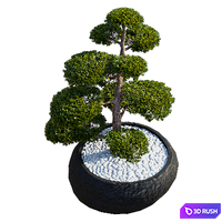 Yew berry nivaki in flower pots | Taxus baccata niwaki 3D Model Vray, Corona