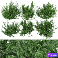 Collection plant vol 124 3D Model Vray, Corona