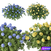 Flowering bushes collection vol 43 3D Model Vray, Corona