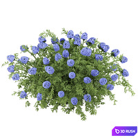 Flowering bushes collection vol 43 3D Model Vray, Corona