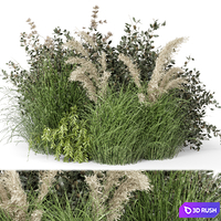 Outdoor Plants Bush-Bush Set 724 3D Model Vray, Corona