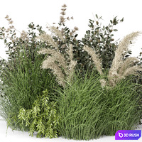 Outdoor Plants Bush-Bush Set 724 3D Model Vray, Corona